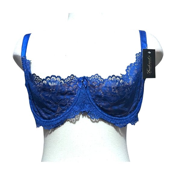 Fredericks of Hollywood NWT Sandie Demi Underwire Lace Bra Sz 42D Blue & Beige - Picture 1 of 15